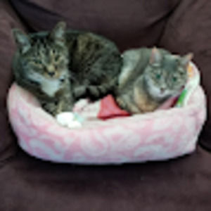 Meet your Posher, Melanie